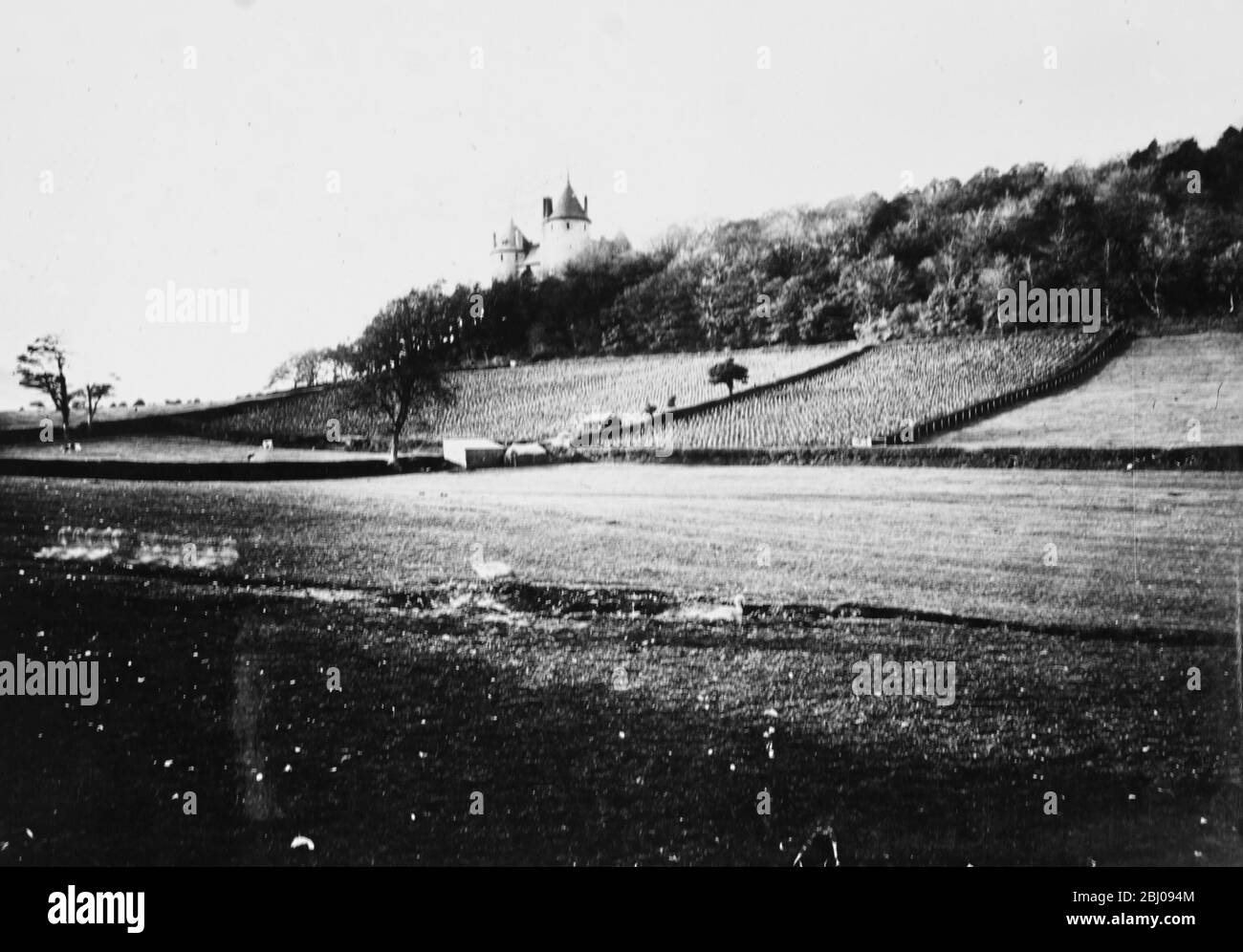 Weinbau in Lord Bute's Vineyards in Glamorgan, Wales. Stockfoto