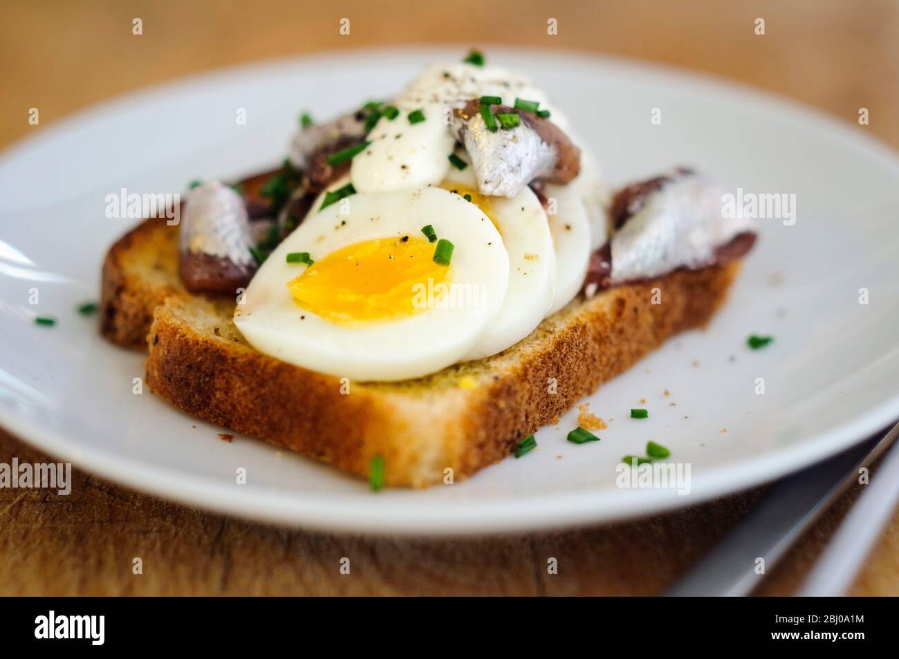 Ein schwedisches klassisches Sandwich mit offenem Gesicht mit geschnittenem, hartgekochtem Ei, gekrönt mit Schwedischen Ansjovis (eingelegte Sprossen), bestreut mit gehacktem Schnittlauch. Stockfoto