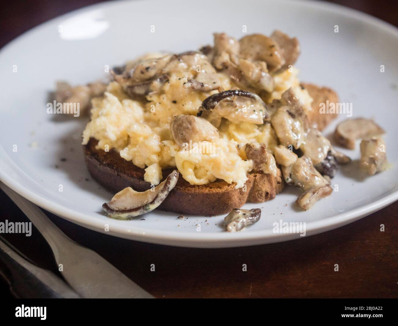 Wilde Pilze auf glutenfreiem Toast Stockfoto