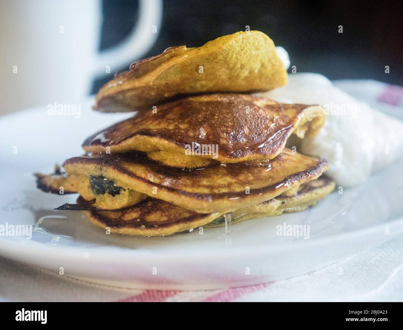 Frühstückspakekuchen mit einem Teig von einer Banane, zwei Eier, und 2 Esslöffel Buchweizenmehl, und ein Handfuil von Heidelbeeren, in einem kleinen c gekocht Stockfoto