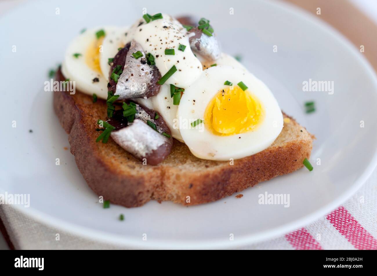Ein schwedisches klassisches Sandwich mit offenem Gesicht mit geschnittenem, hartgekochtem Ei, gekrönt mit Schwedischen Ansjovis (eingelegte Sprossen), bestreut mit gehacktem Schnittlauch. Stockfoto