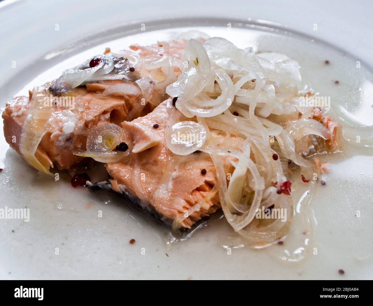 Schwedischer eingelegter Lachs mit Spirituosenessig, Salz und Zucker, Mustarde-Samen, Pfefferkörnern, serviert als Vorspeise oder als Teil eines Samorgasbords Stockfoto