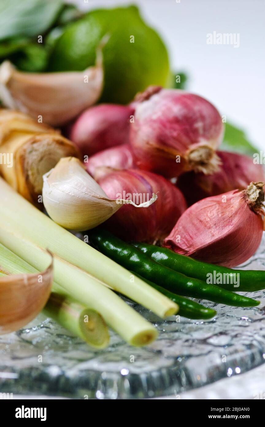 Aroma Zutaten für Thai Green Curry - Stockfoto
