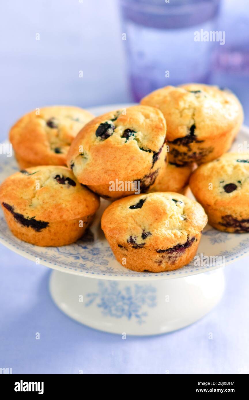 Ein Haufen Heidelbeer-Muffins auf china stehen auf blauem Hintergrund - Stockfoto