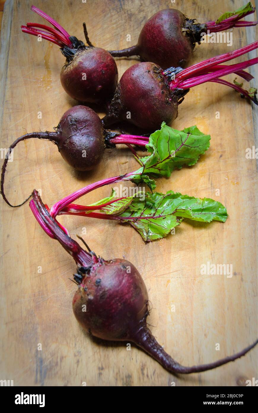 Ganze frische rohe Rote Bete auf Holzbrett - Stockfoto