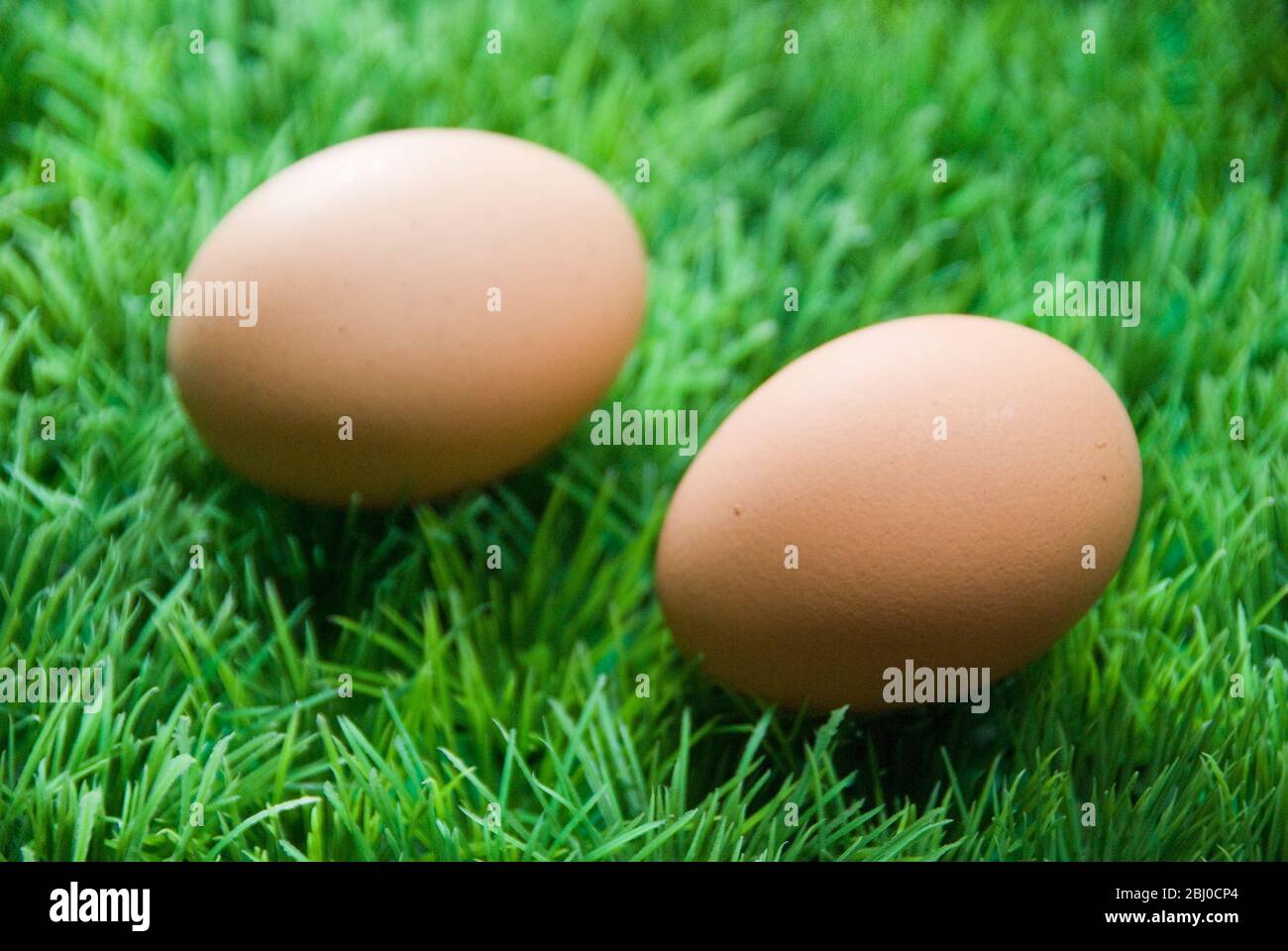 Zwei braune Eier auf gefälschtem grünem Plastikgras - Stockfoto