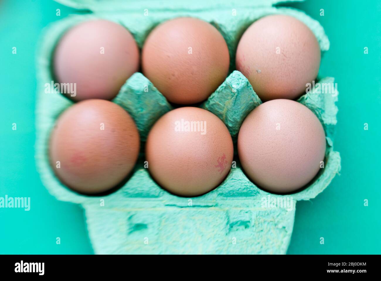 Ein halbes Dutzend Eier in grüner Eierbox. - Stockfoto