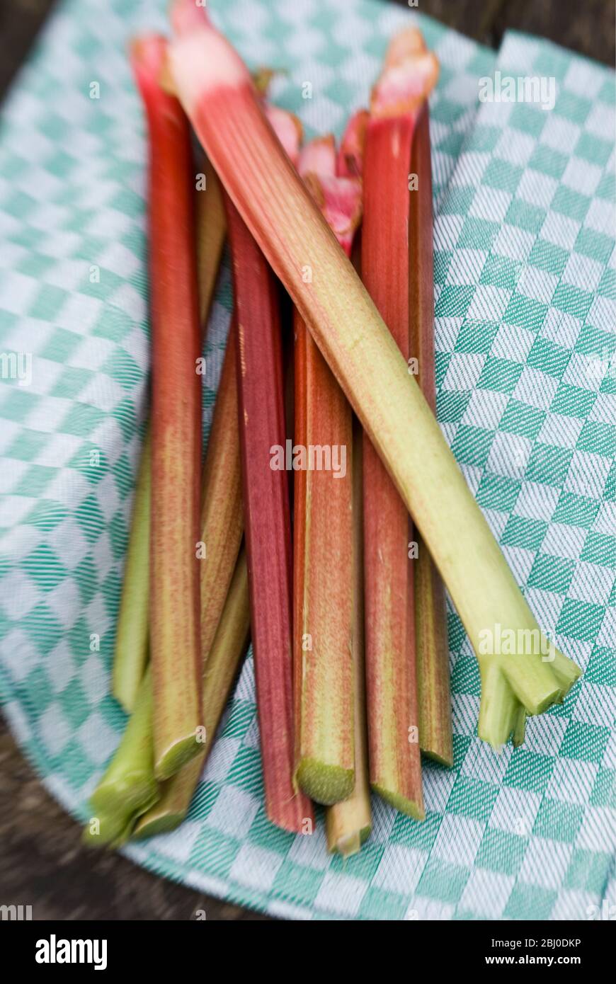 Frisch gepflückte Rhabarber-Stiele auf Geschirrtuch auf Gartentisch - Stockfoto