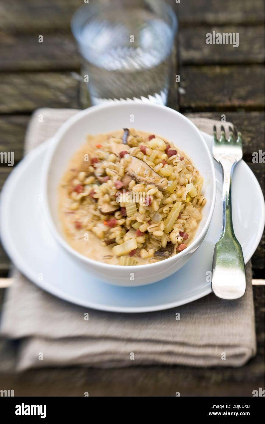 Gerstenrisotto mit getrockneten Pilzen, gewürfeltem Räucherschinken, Zwiebeln, Sellerie und Hühnerbrühe, serviert in weißer Porzellanschüssel, im Freien Shot on le Stockfoto