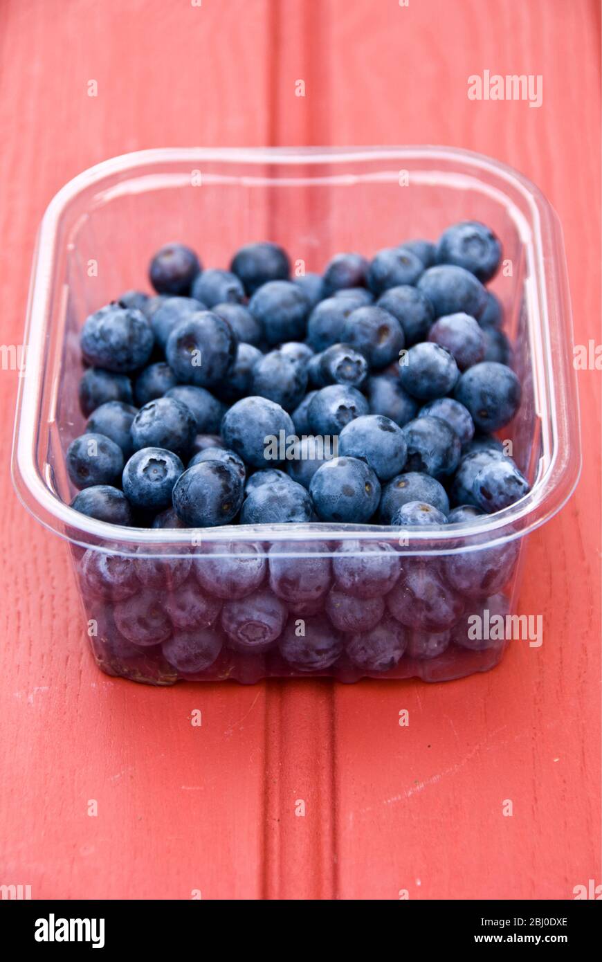 Frische Heidelbeeren in klarem Punett - Stockfoto