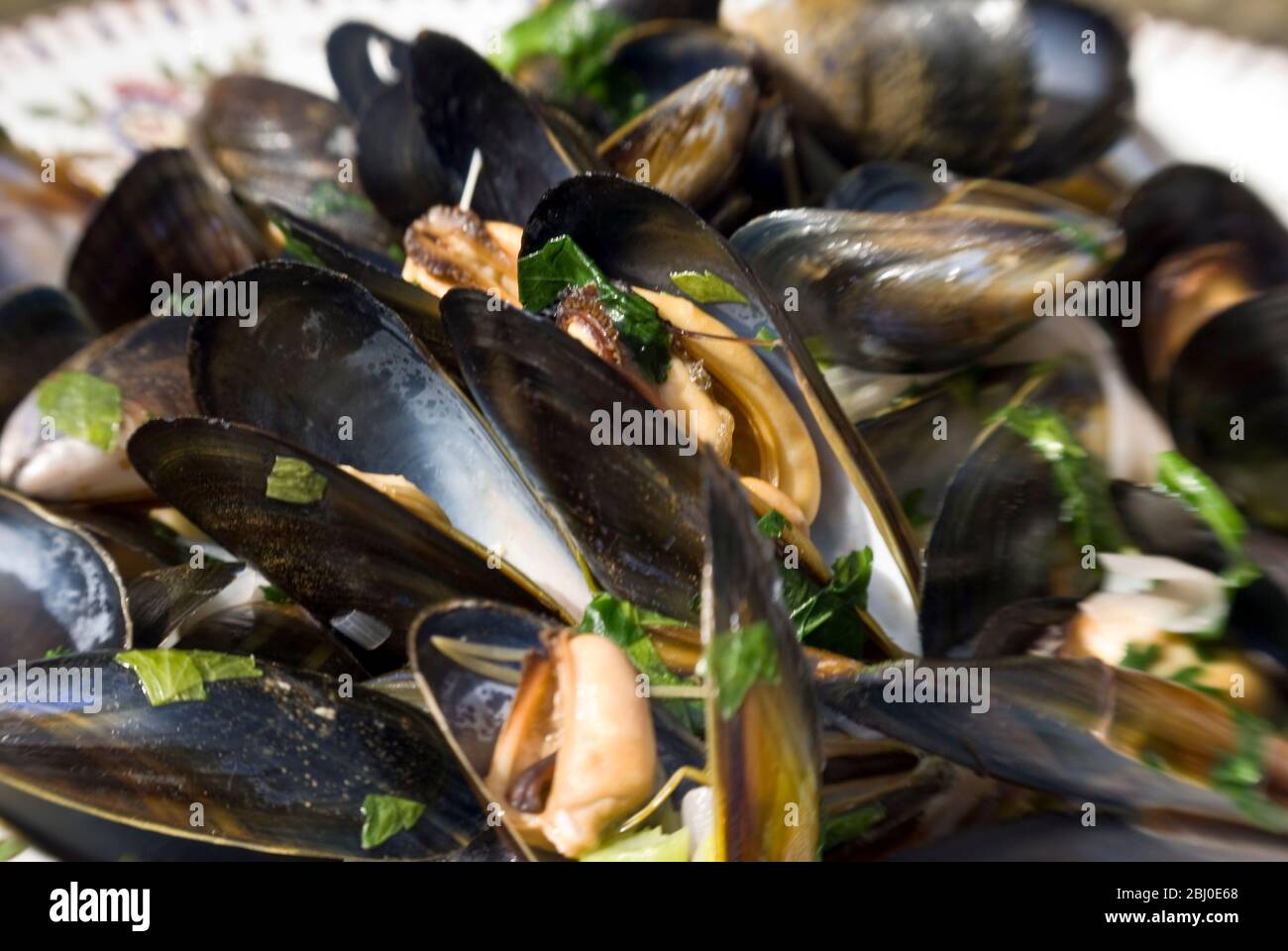 Nahaufnahme von Gericht von Moules mariniere, gekochte Muscheln in ihren Schalen, mit Wein und Kräutern. Aufgenommen mit einem Objektiv für ein Lendenbaby-Objektiv für unscharfe Kanten - Stockfoto