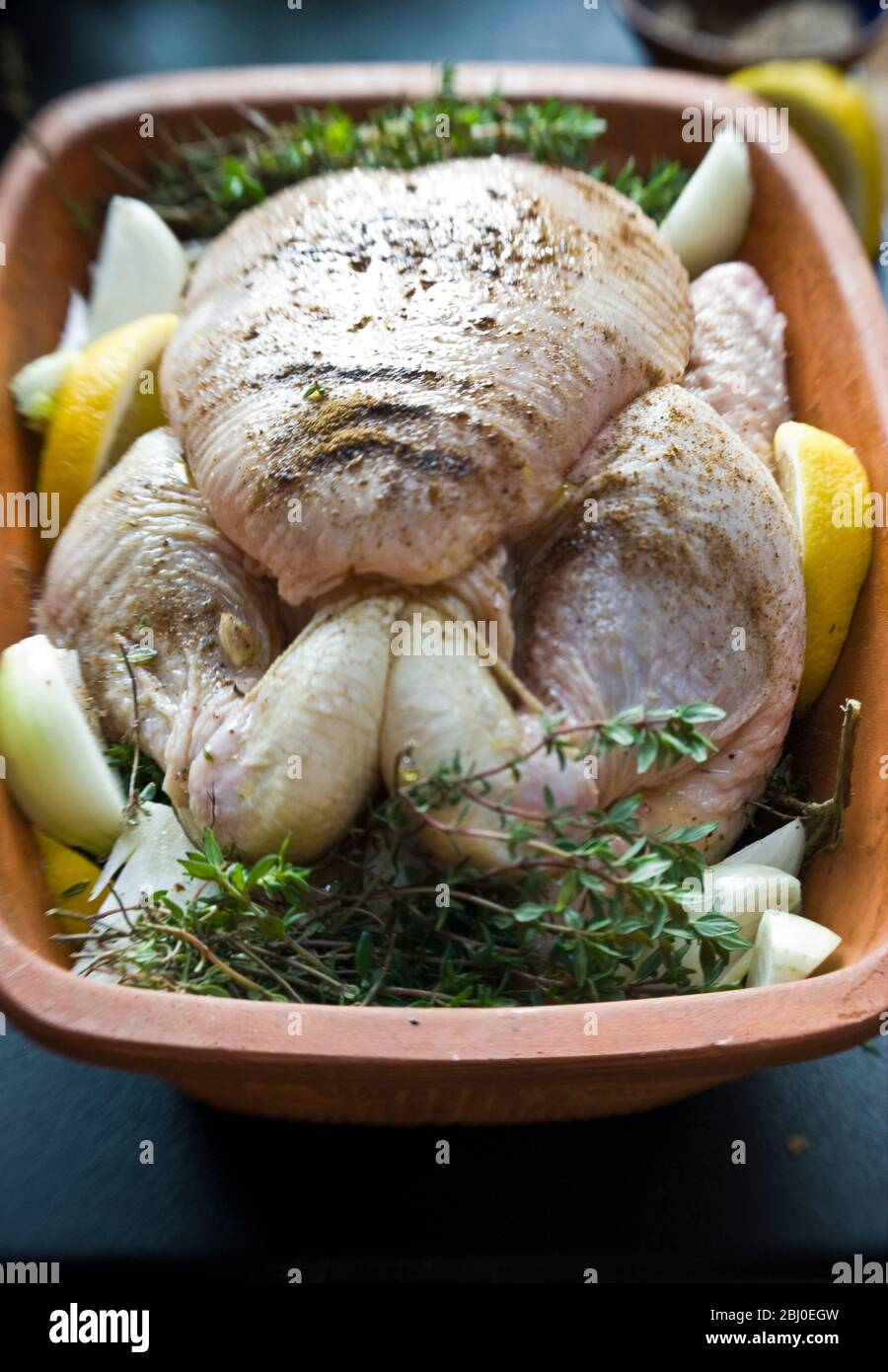 Bio-Hühnchen in Chicken 'Brick' mit Zitronenfeilen, frischem Thymian, Zwiebeln, Gewürzen, Weißwein und Olivenöl, vor dem in den Ofen gegeben - Stockfoto