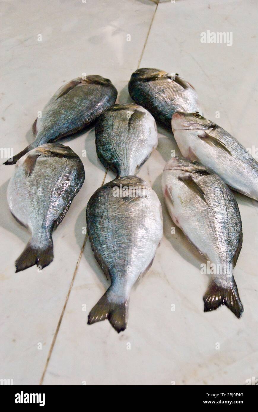 Frische Brassen auf Platte von Fischminger Zähler in überdachten Markt, Limassol, Zypern - Stockfoto