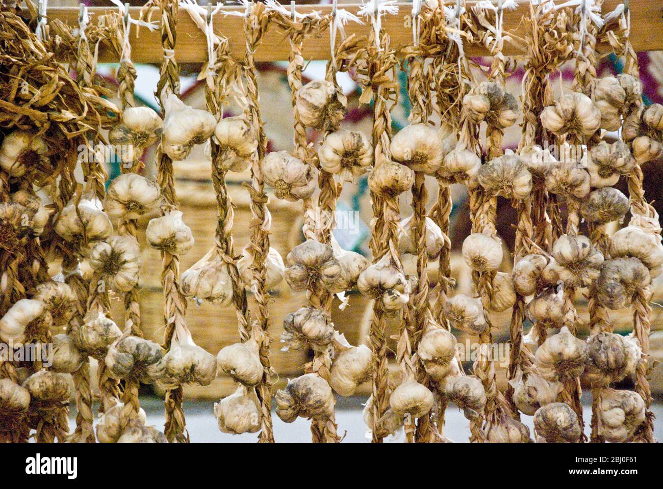 Saiten von Knoblauch zum Verkauf in überdachten Markt in Limassol, Zypern - Stockfoto