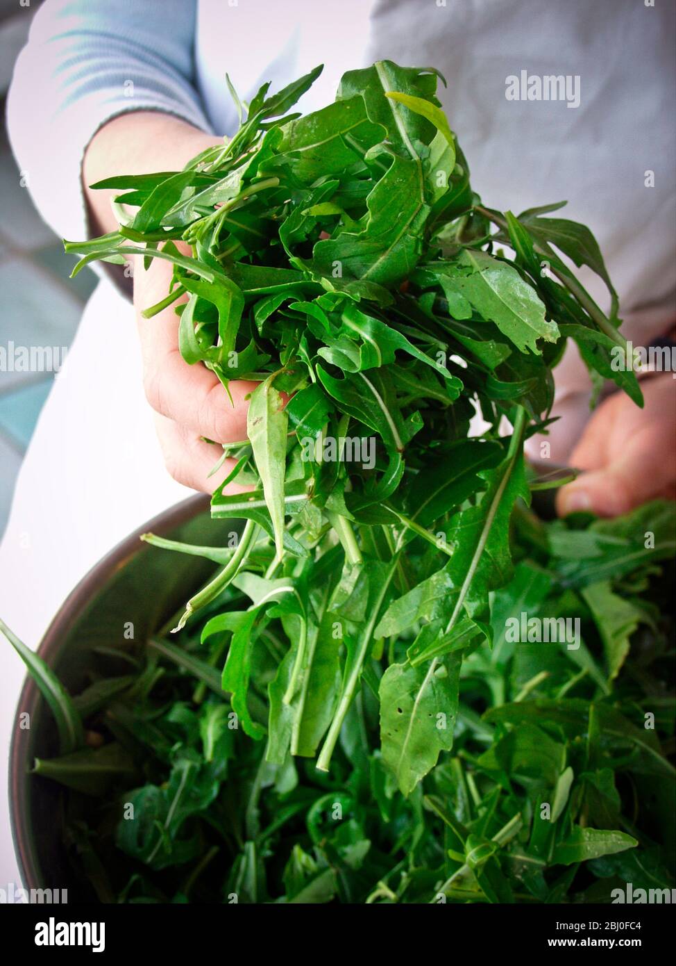 Große Schüssel mit Rucola Blätter - Stockfoto