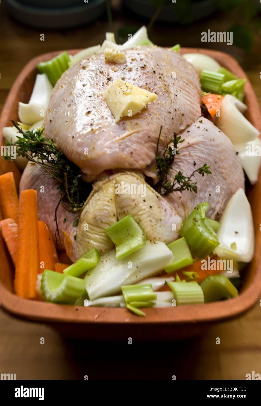 Hühnchen für den Ofen in einem Terracotta-Hühnerstein mit Zwiebeln, Sellerie, Karotten, Thymian und ein wenig Weißwein zubereitet - Stockfoto