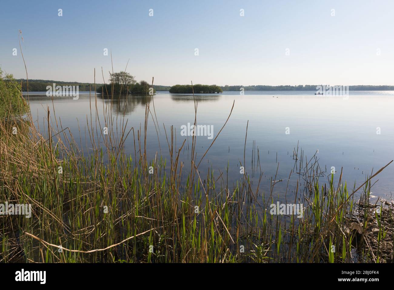 Ruderboot auf dem Dobersdorf , Gemeinde Schlesen, Östliches Hügelland oder Osthügelland, Schleswig-Holstein, Norddeutschland, Europa Stockfoto