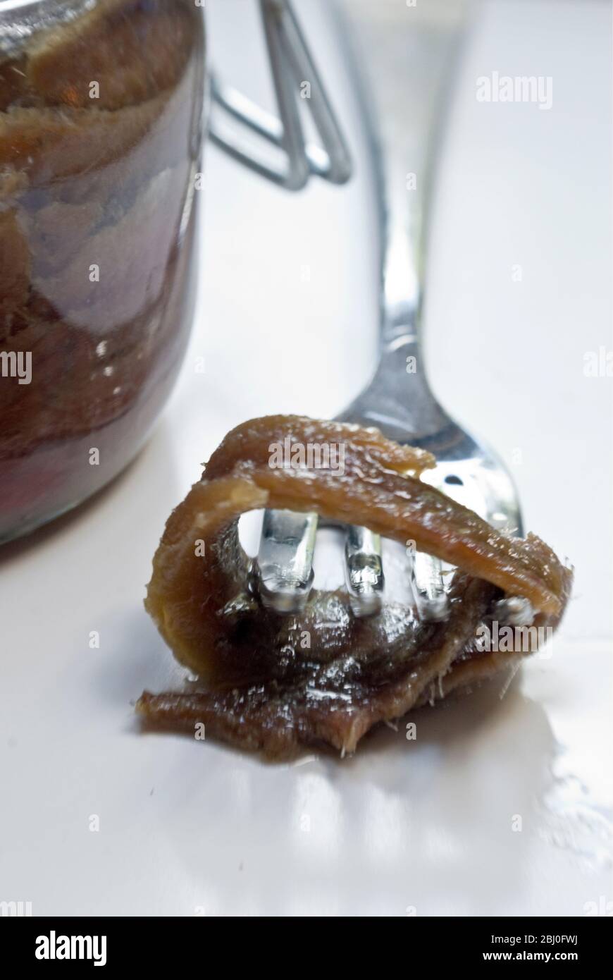 Filets der Sardellen in Öl im Einmachglas, mit einem einzigen Filet auf der Gabel - Stockfoto