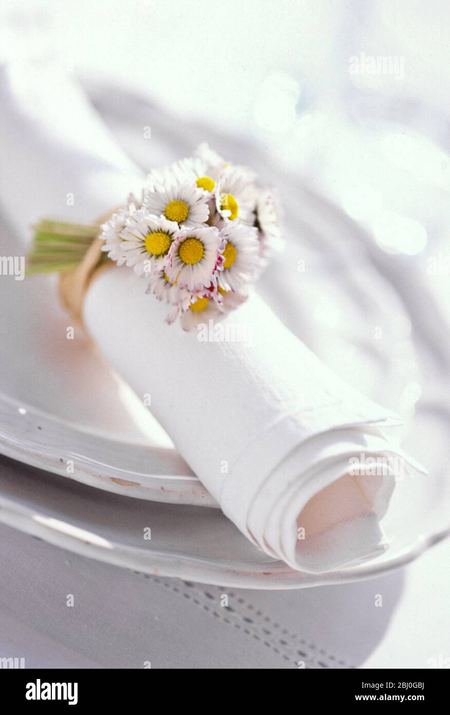 Weiße Serviette, gerollt, mit Gänseblümchen gebunden, auf weißen Tellern. - Stockfoto