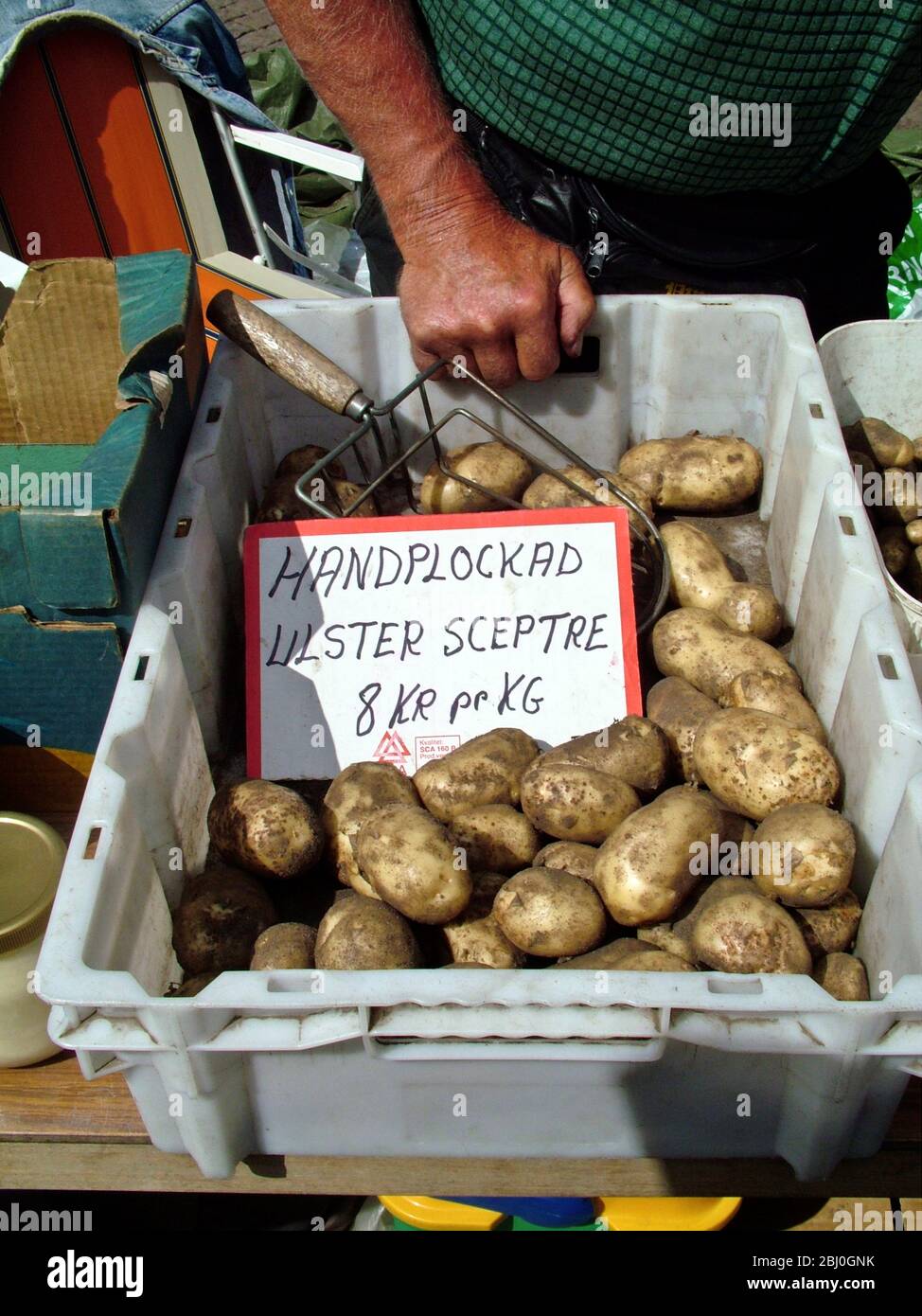 Selbstgezüchtet, handgepflückte neue Kartoffeln zum Verkauf auf dem Marktplatz in Varberg, Schweden - Stockfoto