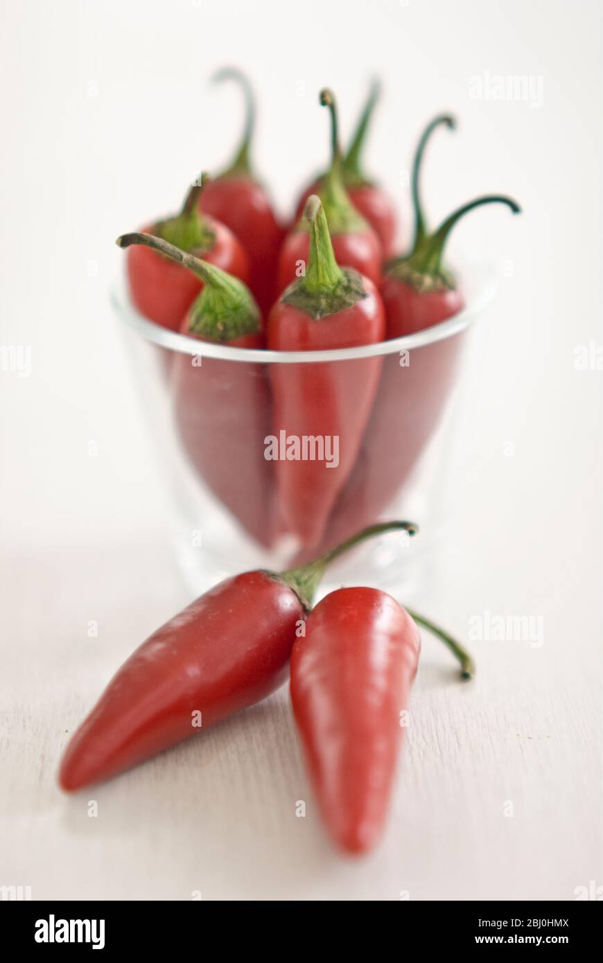 Scharfe rote Chilischoten und ein kleines Glas auf weißem Hintergrund - Stockfoto