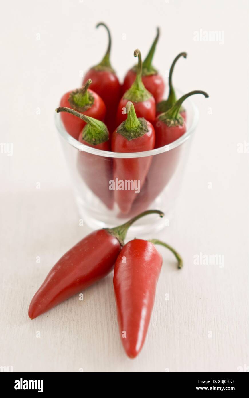 Scharfe rote Chilischoten und ein kleines Glas auf weißem Hintergrund - Stockfoto