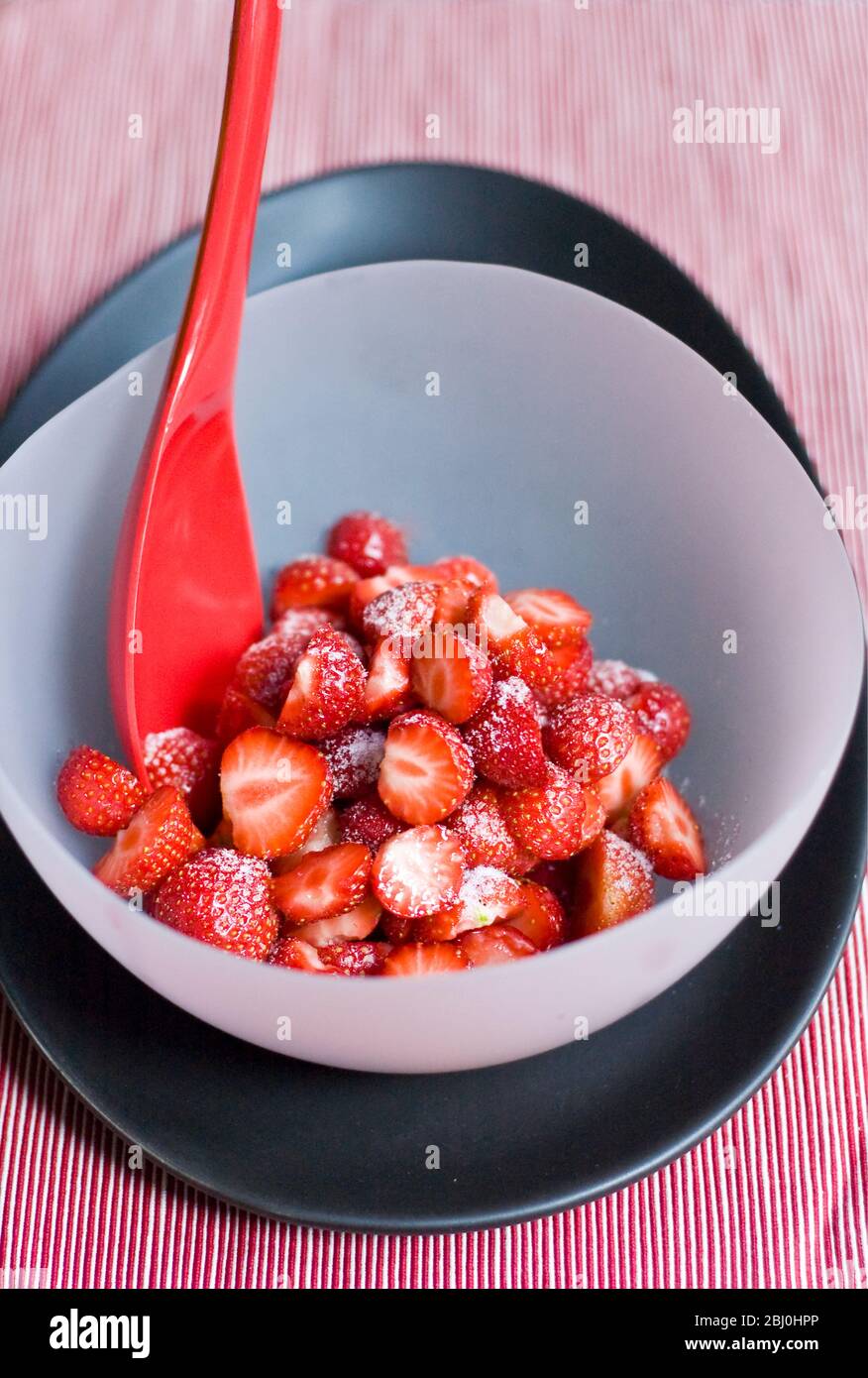 Erdbeeren, geschält und halbiert, mit Gießzucker bestäubt, in einer Schüssel aus mattem Glas auf schwarzem Teller mit hellrotem Melaminlöffel serviert. - Stockfoto