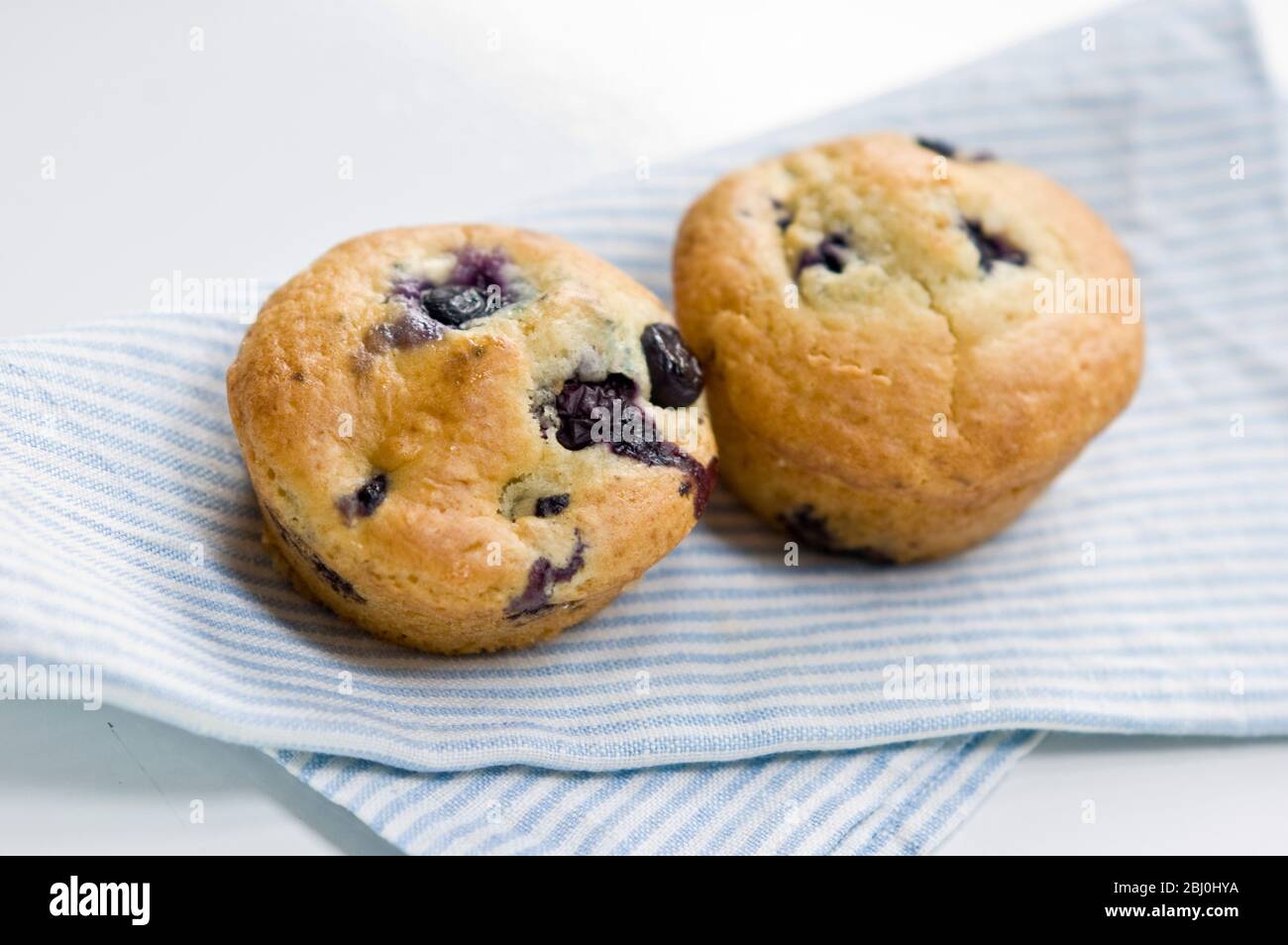 Frisch gebackene Blaubeer-Muffins auf blau gestreifter Serviette. - Stockfoto