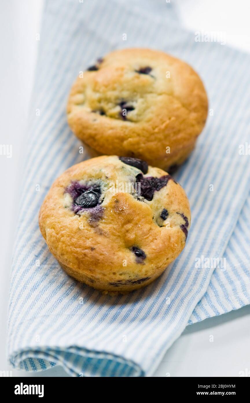 Frisch gebackene Blaubeer-Muffins auf blau gestreifter Serviette. - Stockfoto