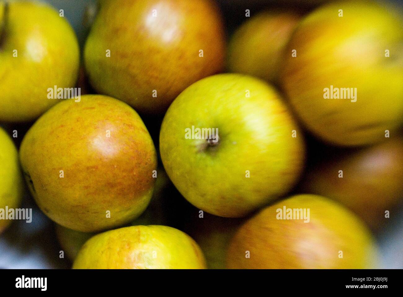 Die Äpfel von Cox mit einer Linse für ein Lendenbaby massiert für einen unscharfen Randeffekt - Stockfoto