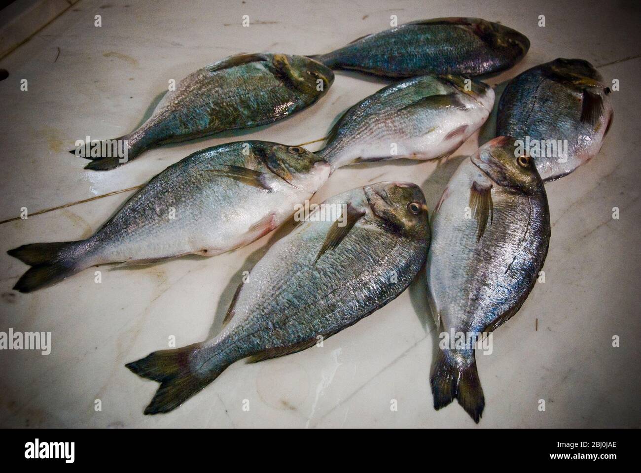Frische Brassen auf Platte von Fischminger Zähler in überdachten Markt, Limassol, Zypern - Stockfoto