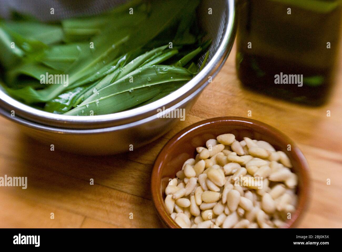 Zutaten für Bärlauch-Pesto, gewaschene Bärlauch-Blätter, Pinenuts in kleiner Schüssel. Aufgenommen mit Lensbaby-Objektiv für unscharfe Kanten. - Stockfoto