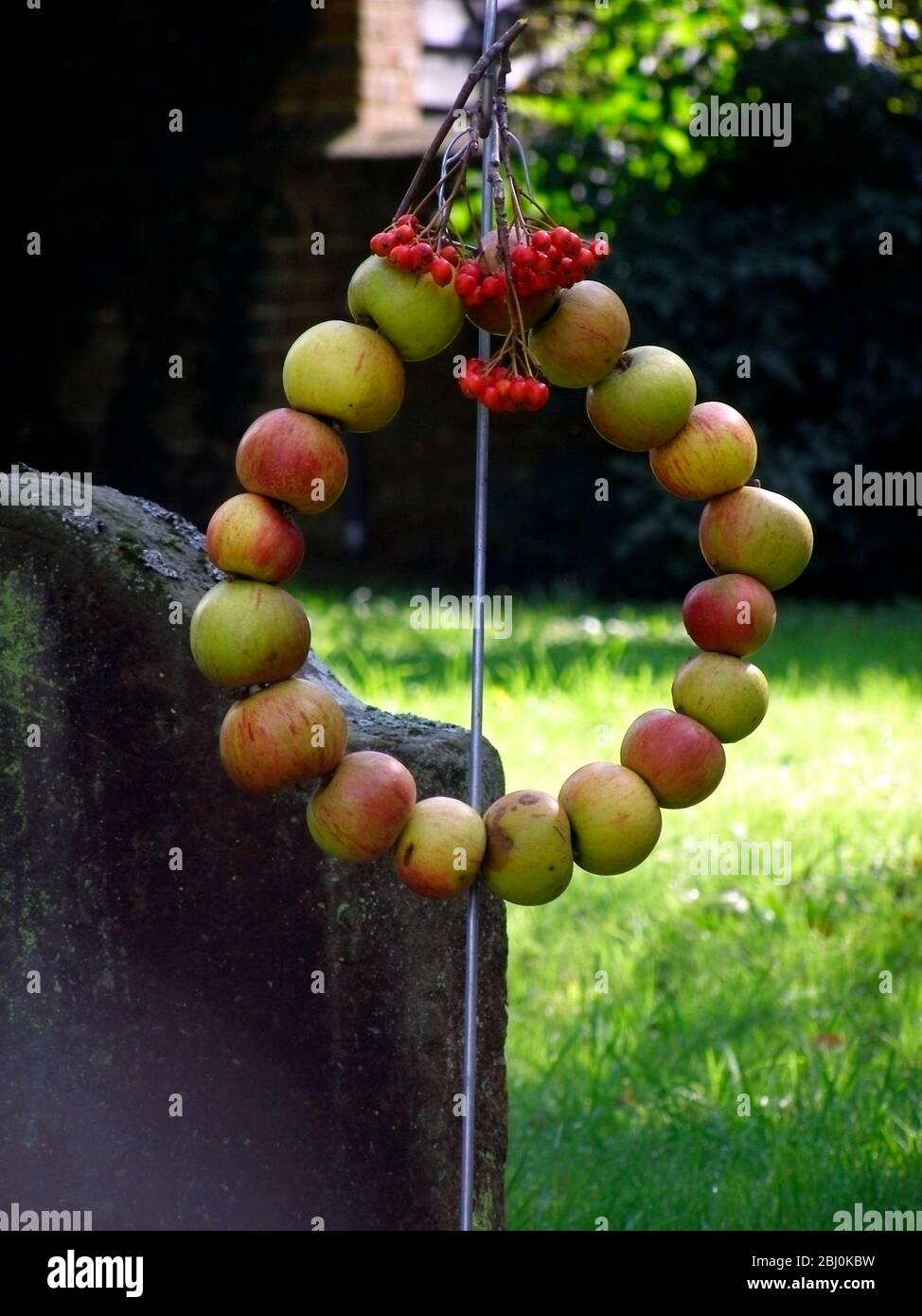Erntekranz von roten Äpfeln auf Draht in einen Kreis aufgereiht und mit Trauben von Beeren verziert, auf dem Land Kirchhof. Teil eines Blumenfestivals Stockfoto