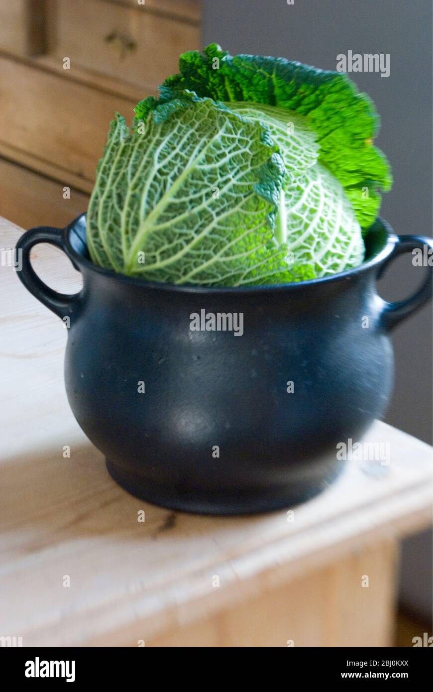Kohl sitzt in Eisen Kochtopf in der Küche - Stockfoto