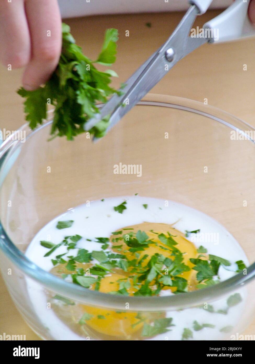 Kind Kappen flache Petersilienblätter in Schüssel mit Eiern mit Milch für Rührei. - Stockfoto