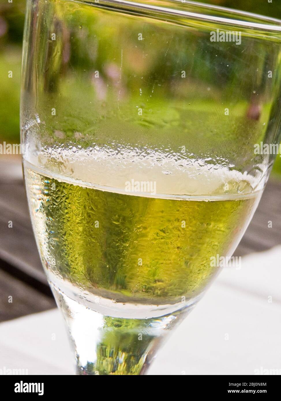 Halbleeres Glas Weißwein im Sommergarten - Stockfoto