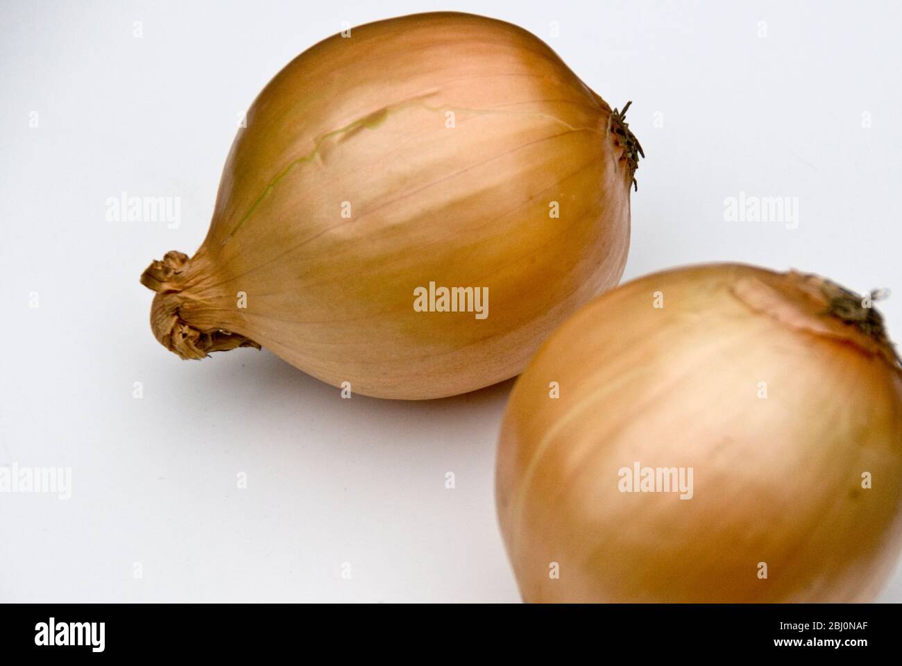 Zwei ganze Zwiebeln auf weißer Oberfläche - Stockfoto