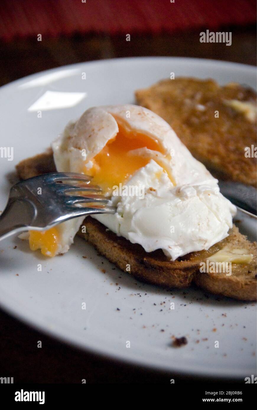 Pochiertes Ei auf Vollkorntoast auf weißem Teller, mit aufgebrochenem Eigelb - Stockfoto