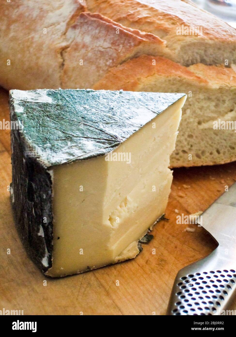 Kornischer Yarg-Käse mit Abdeckung von Brennnesseln an Bord mit knusprigem Brot und Messer. - Stockfoto