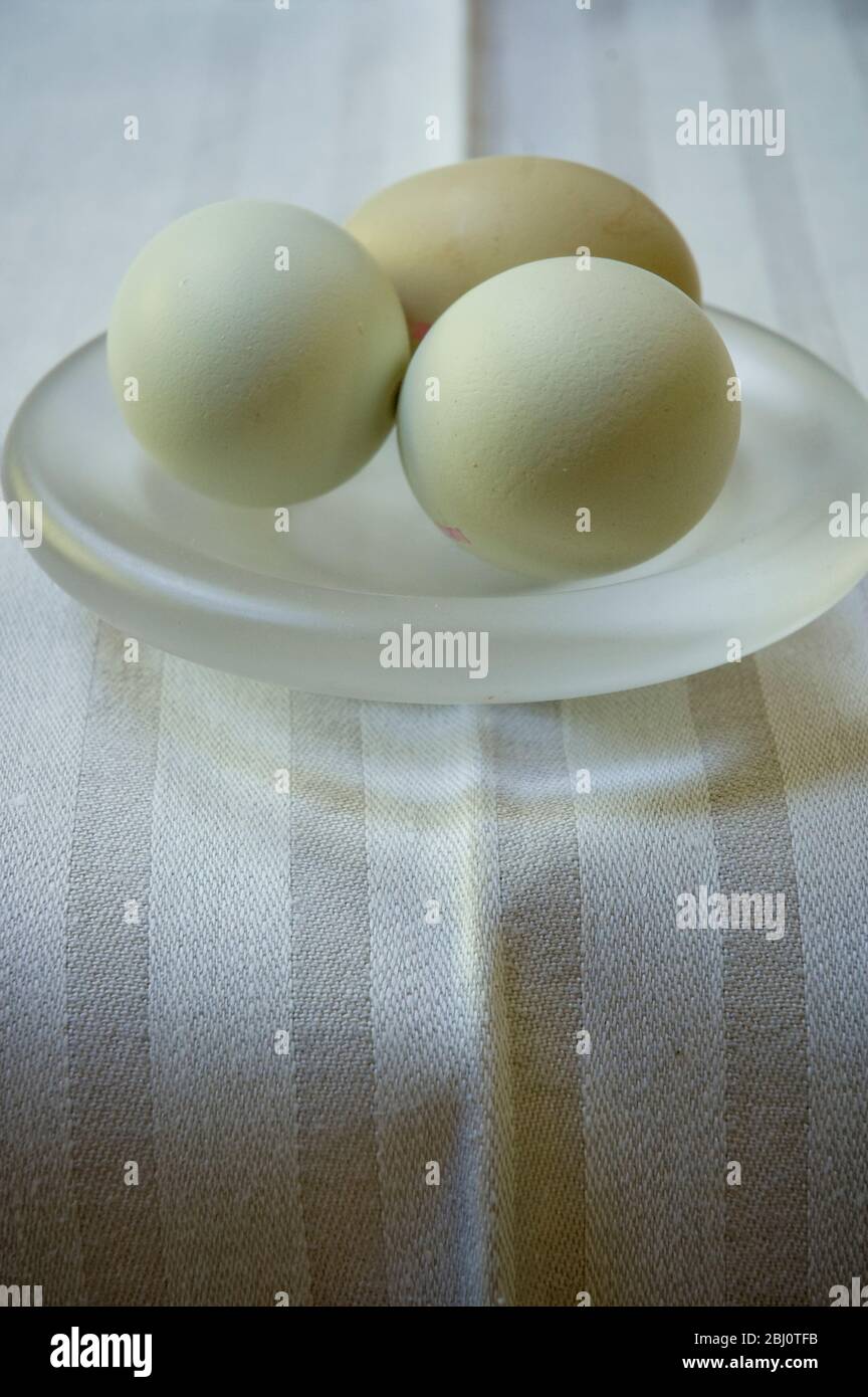 Eier aus Freilandhaltung - benannte Sorten - Cotswold Legbar - Stockfoto