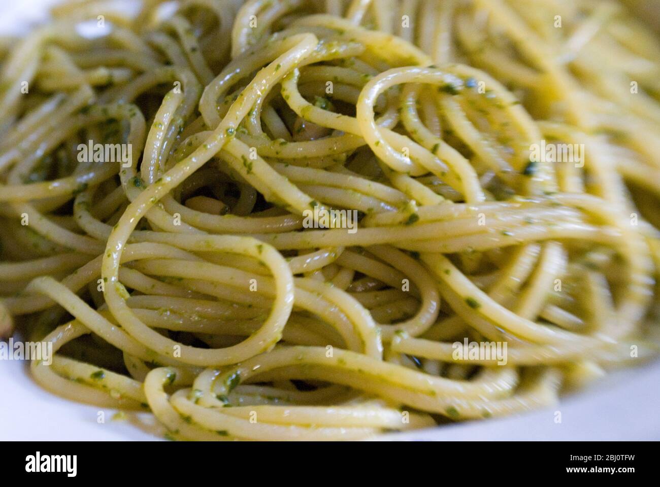 Teller mit Spaghetti mit Pesto aus Koriander und mit Pinienkernen chillen. Aufgenommen mit Lensbaby-Objektiv für verschwommene Effekte. - Stockfoto