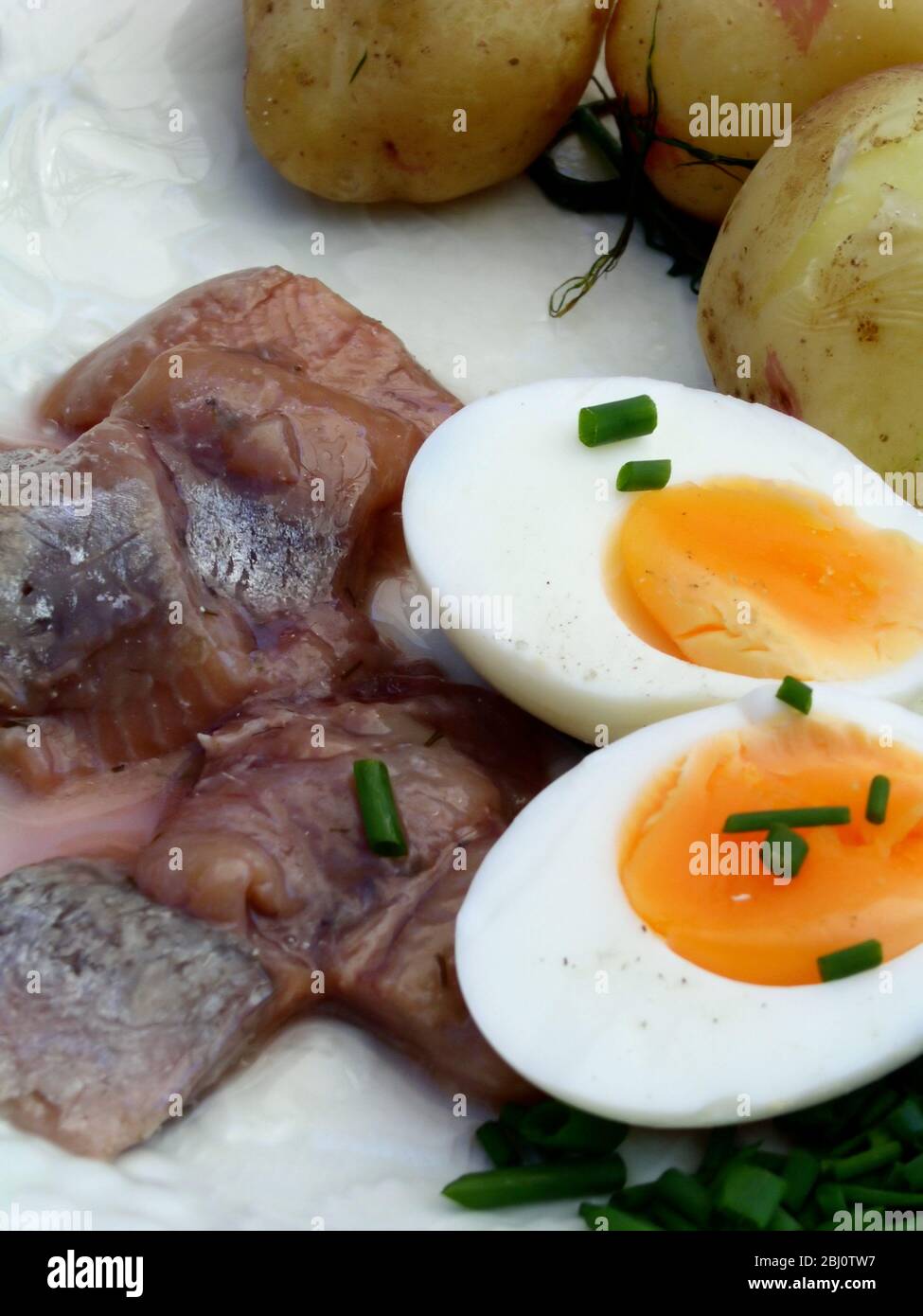 Schwedisches Mittagessen mit Matjes Hering-Füllungen mit halbierten gekochten Ei mit gehacktem Schnittlauch bestreut serviert mit neuen Kartoffeln mit Dill gekocht - Stockfoto