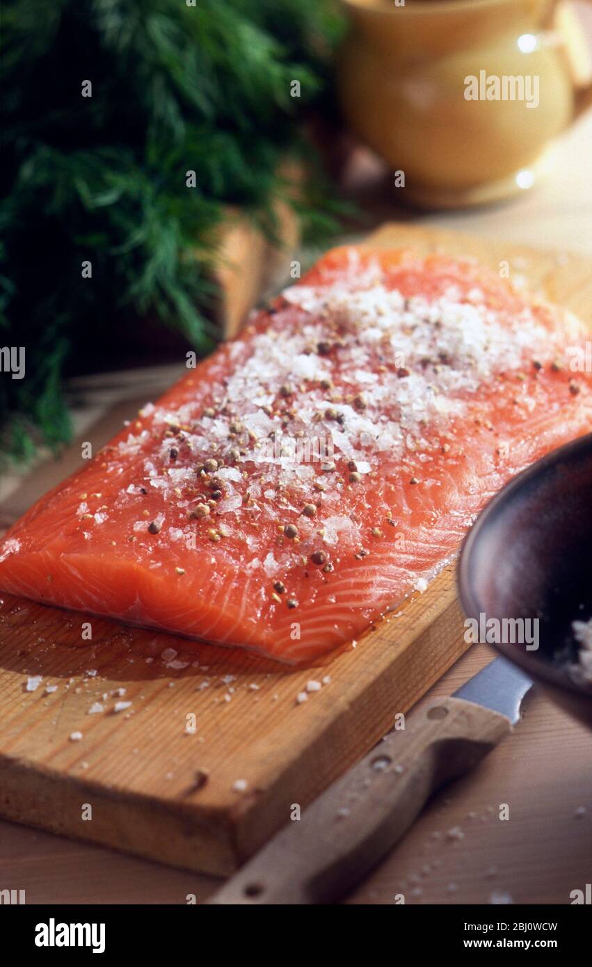 Zubereitung von Gravlax, frischem Lachsfilet mit viel Salz, gemahlenem schwarzem Pfeffer, Zucker und gehacktem Dill - Stockfoto