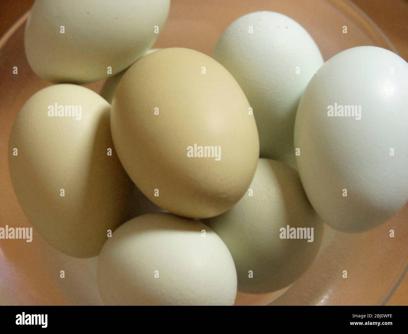 Acht natürliche blaue und grüne Eier von seltenen Rassen Hühner - Stockfoto