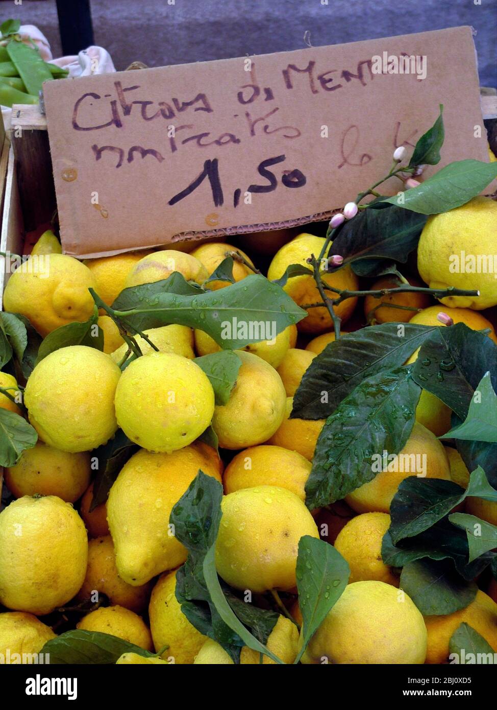 Stapel von Zitronen frisch vom Baum mit Blättern und Blüten zum Verkauf in der Markthalle in Menton, Südfrankreich - Stockfoto