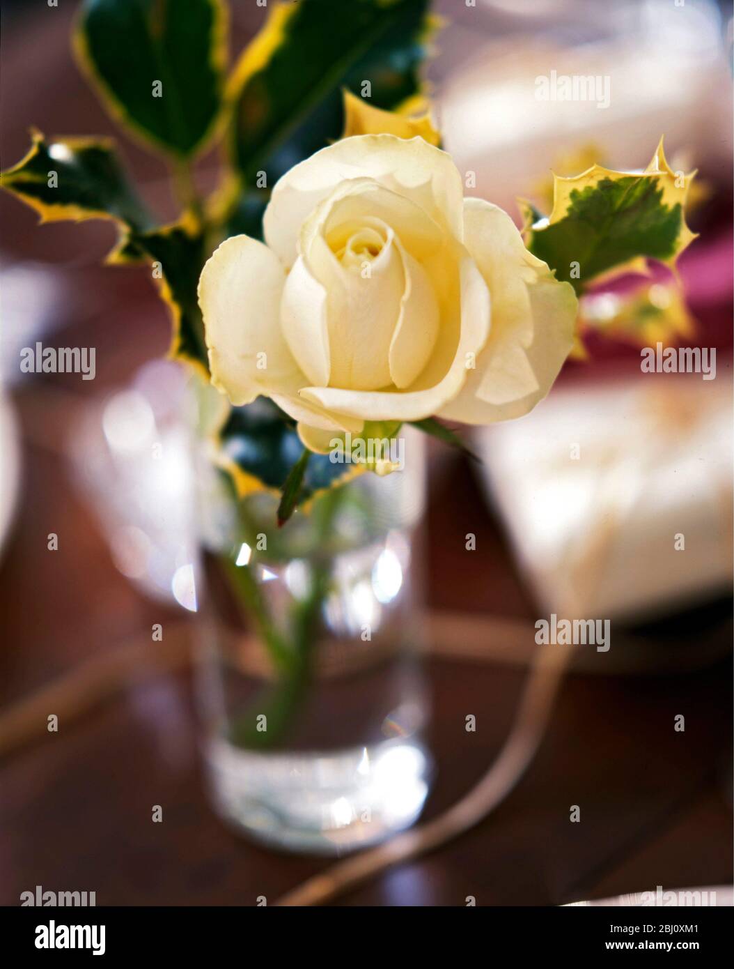 Cremige weiße Rosen mit bunten Stechpaltenblättern in kleinem Glas als weihnachtstisch Dekoration - Stockfoto