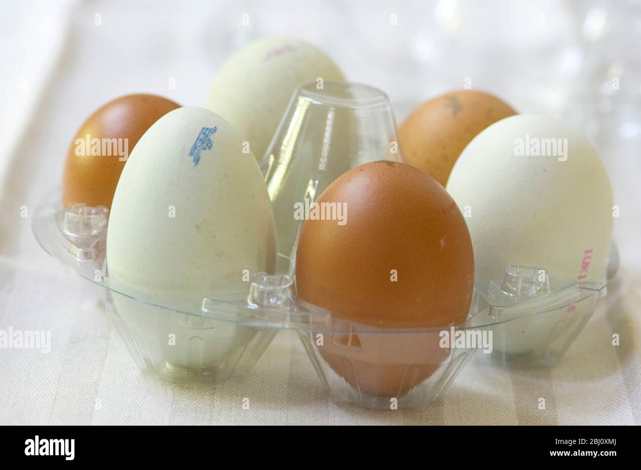 Eier aus Freilandhaltung - benannte Sorten - Stockfoto