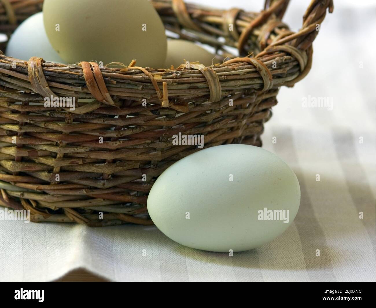 Eier aus Freilandhaltung - benannte Sorten - Stockfoto