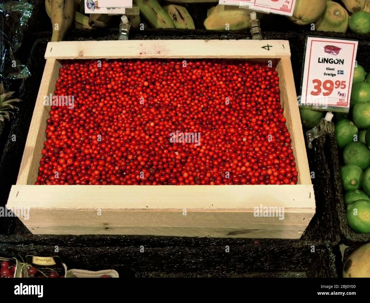 Tablett mit Preiselbeeren zum Verkauf in schwedischen Supermarkt. Wie eine wilde Cranberry wachsen diese in den schwedischen Wäldern reichlich und werden verwendet, um einen herben j zu machen Stockfoto