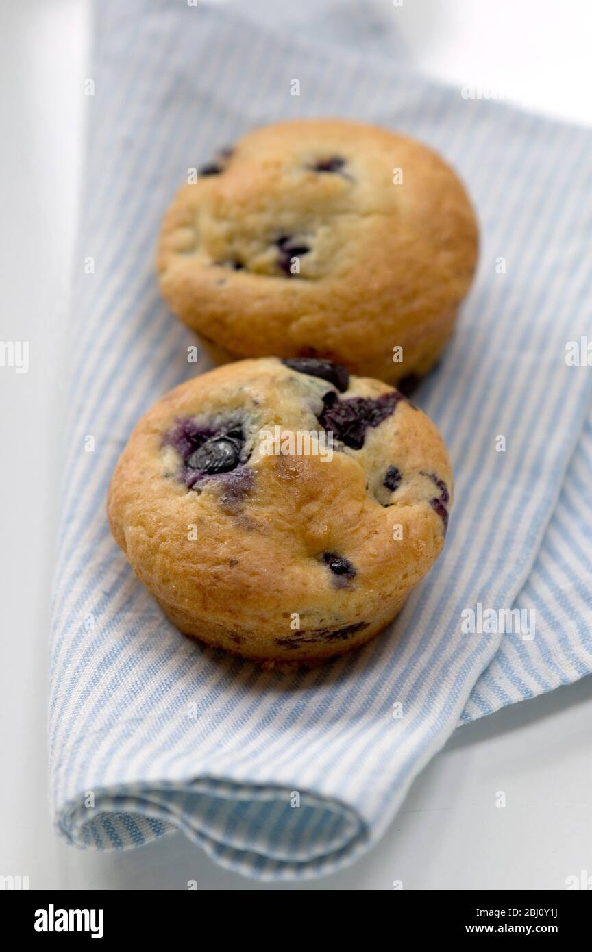 Frisch gebackener Heidelbeer Muffin auf blau gestreifter Serviette mit blau-weißem porzellan - Stockfoto